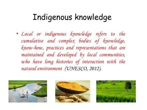 Wisdom of the Elders: Weaving Indigenous Knowledge into Modern Research - Unlocking Ancient Secrets for Contemporary Inquiry